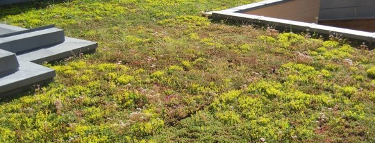 leclercqpanov&eacute;g&eacute;tal
